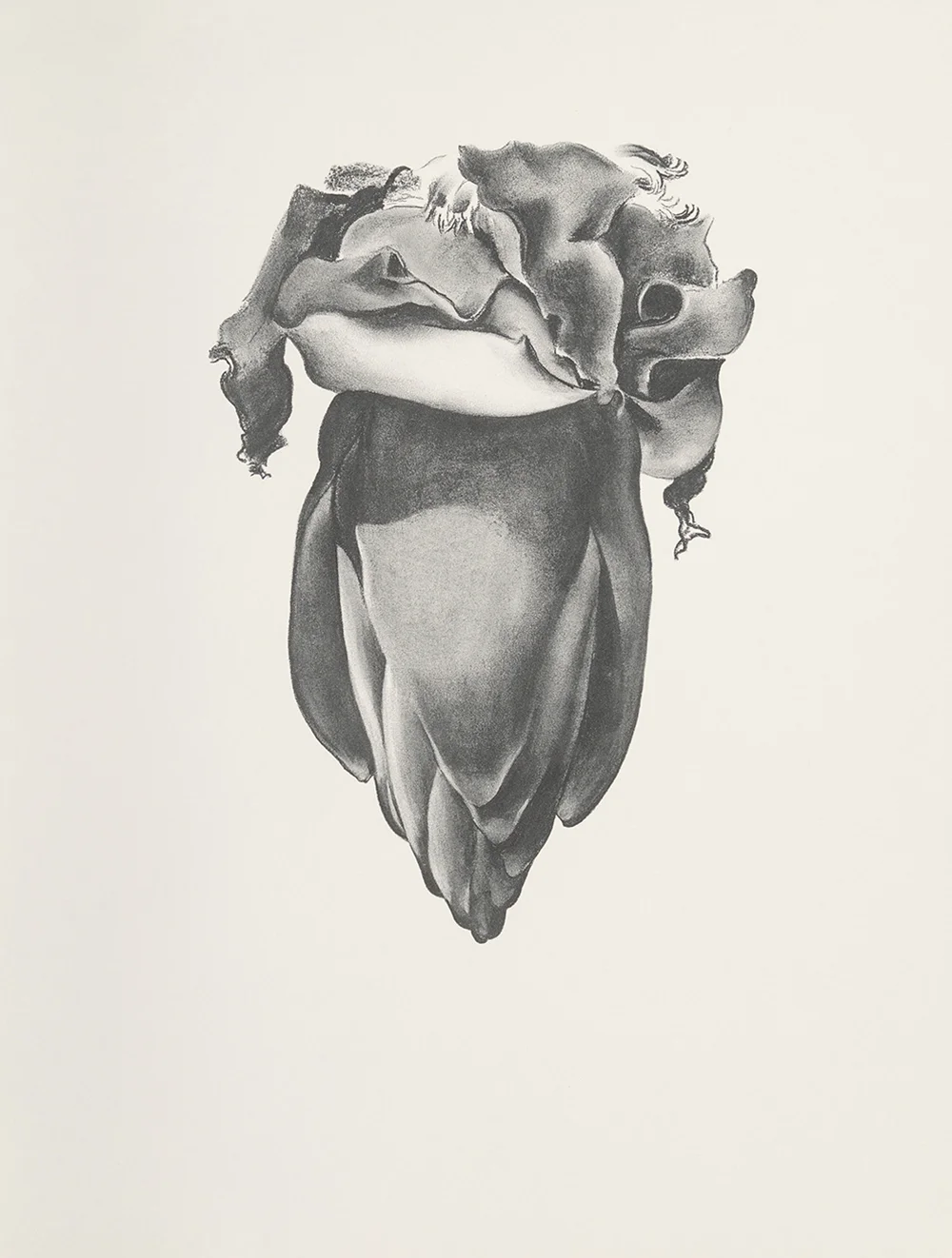 Banana Flower, 1933, Lithograph on Rives BFK paper, 1968, 25 x 19 inches