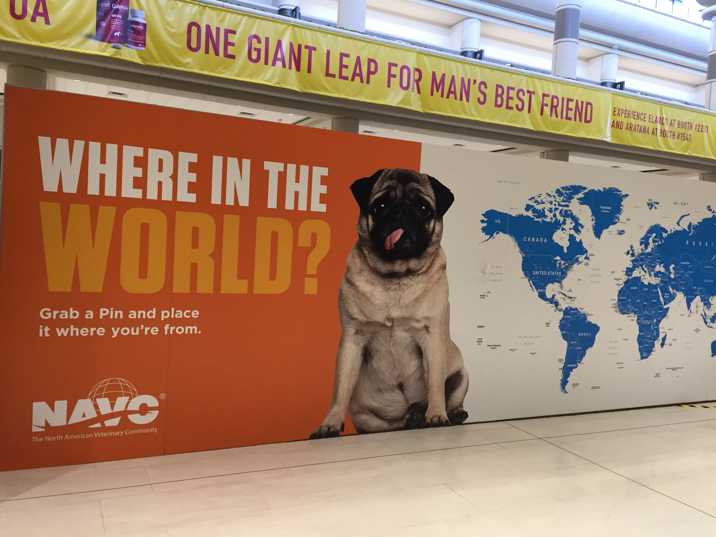 NAVC-Where-in-the-World.jpg