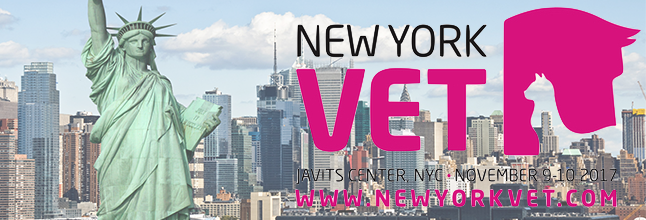 NY Vet.png