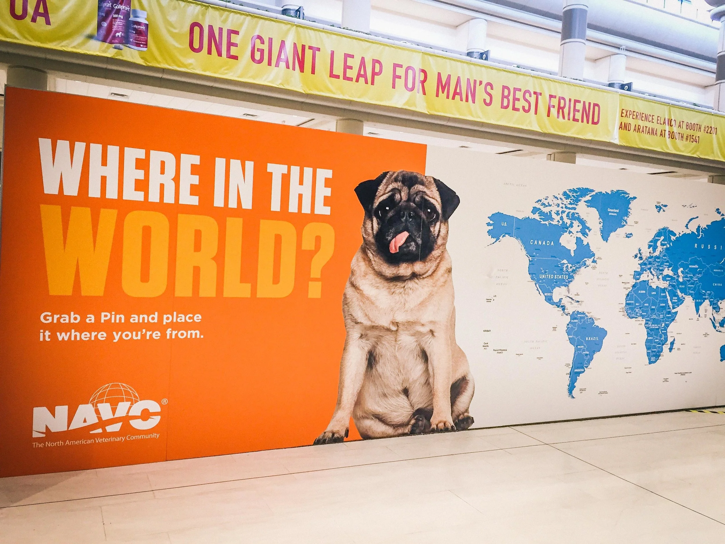 Where in the World?