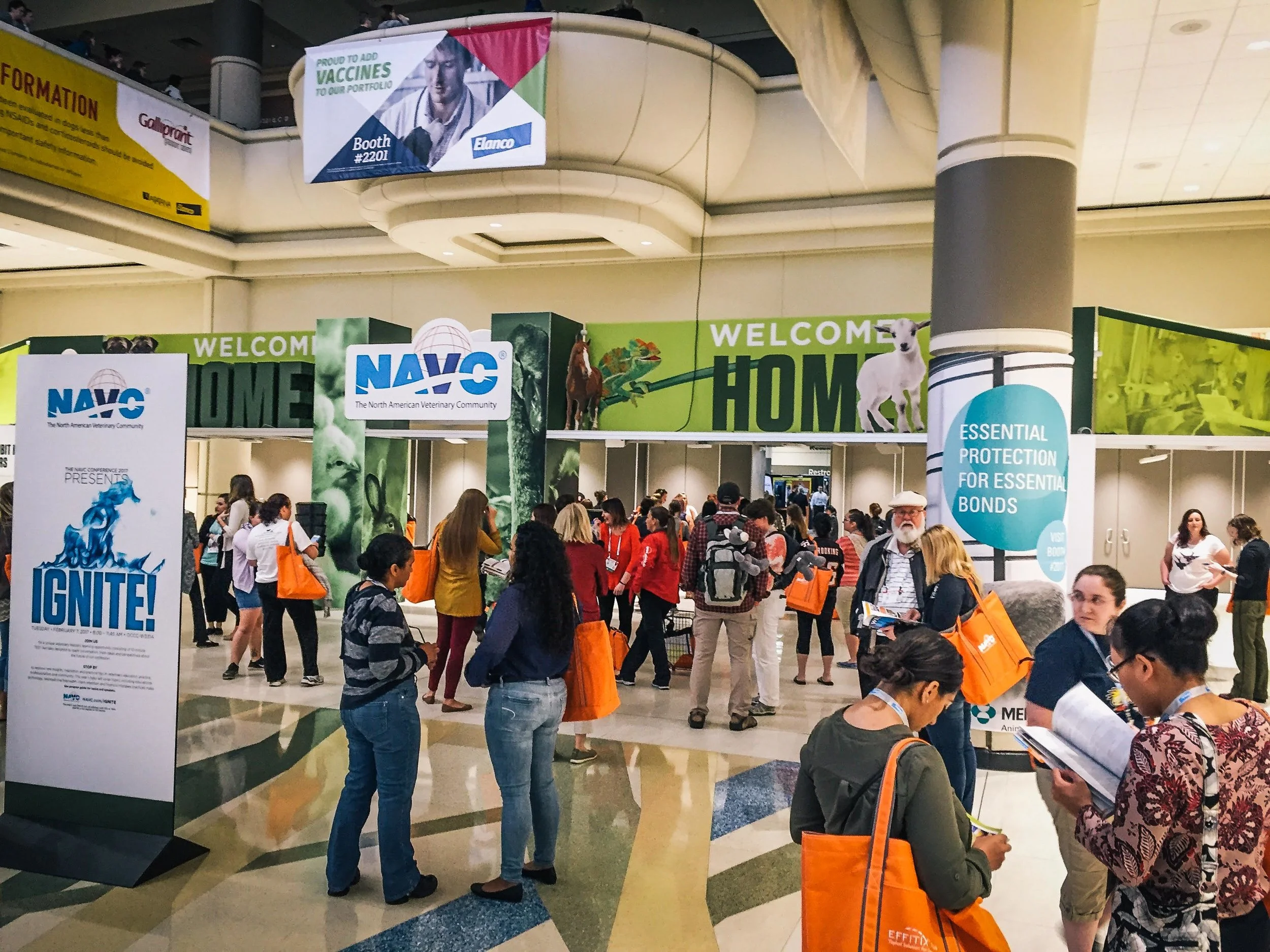 NAVC Ignite