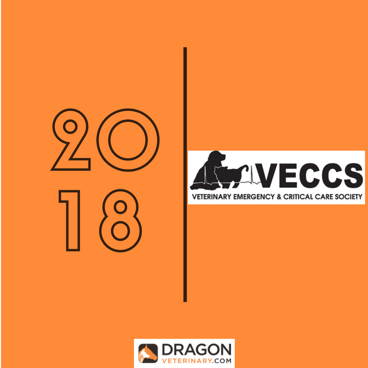 IVECCS.png