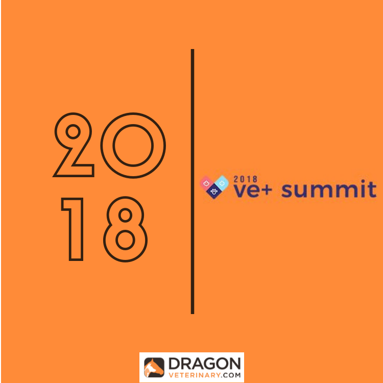 Ve+ summit 2018.png