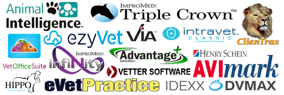 16 Best Veterinary Practice Software For A Successful Veterinary Practice Dragon Veterinary