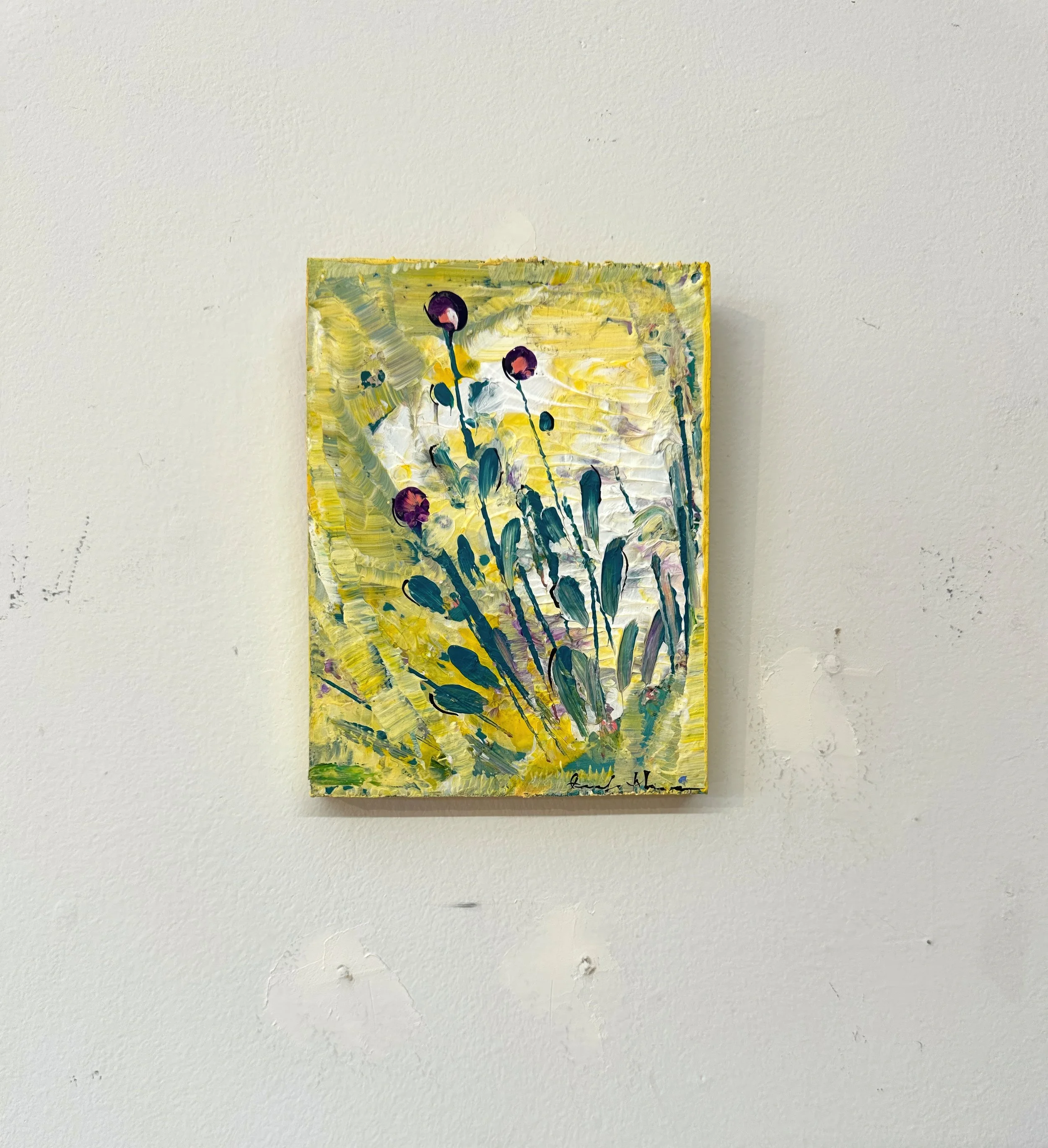 FullSizeRender 52.JPG