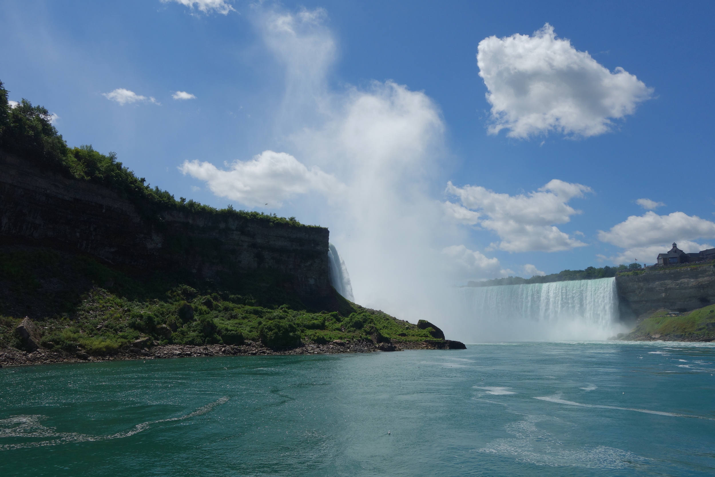 Buffalo - Blog - 11.jpg