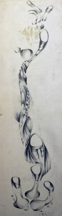 Follicle | Graphite on Found Panel | 12" x 49" | SOLD