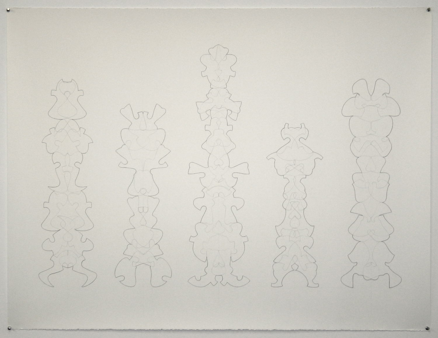 TOTEM FOREST STUDY 1 2007, graphite on paper, 38 x 50 inches