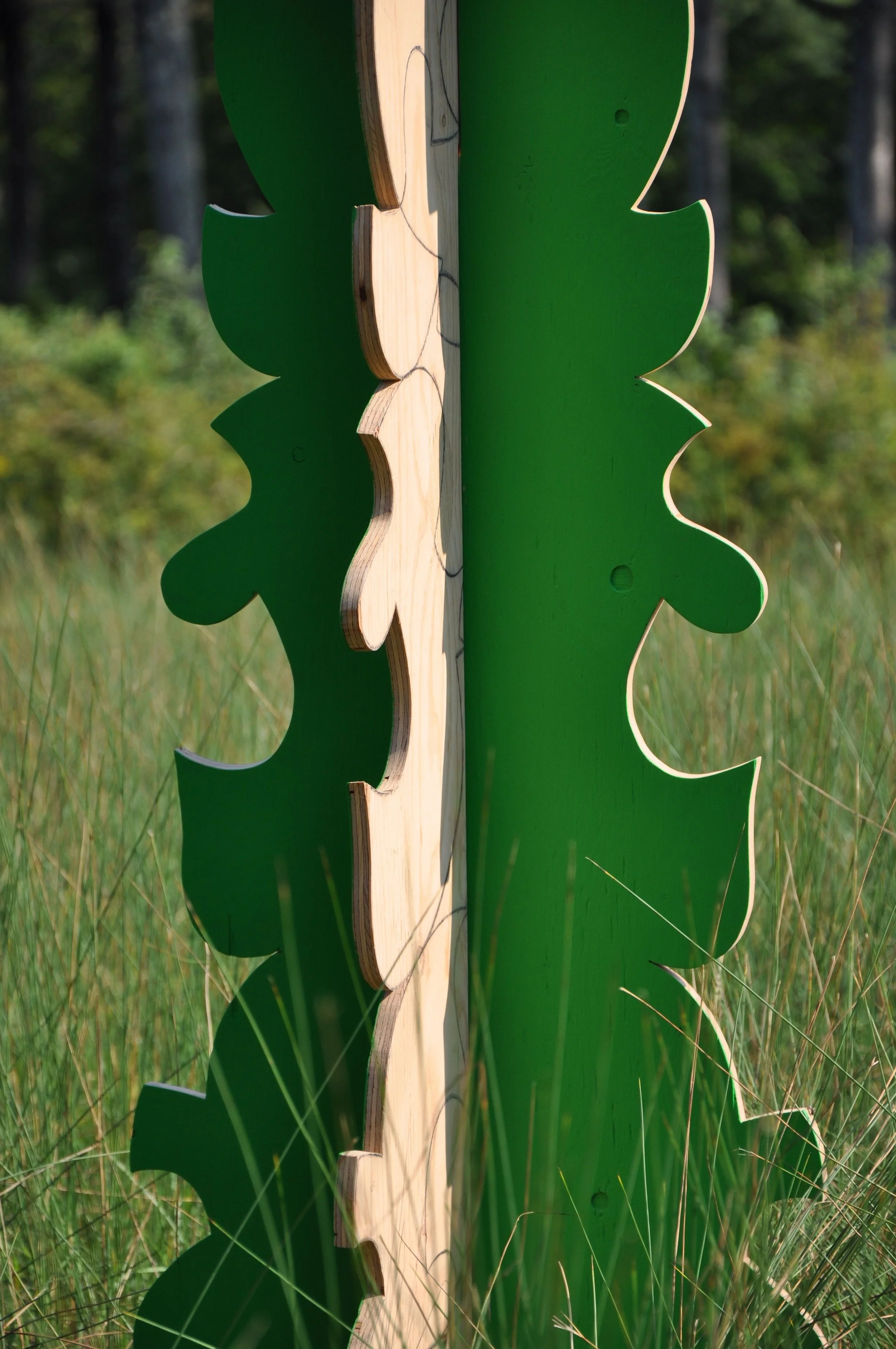 HANNAH_BroadCoveTotem_fielddetail2.jpg