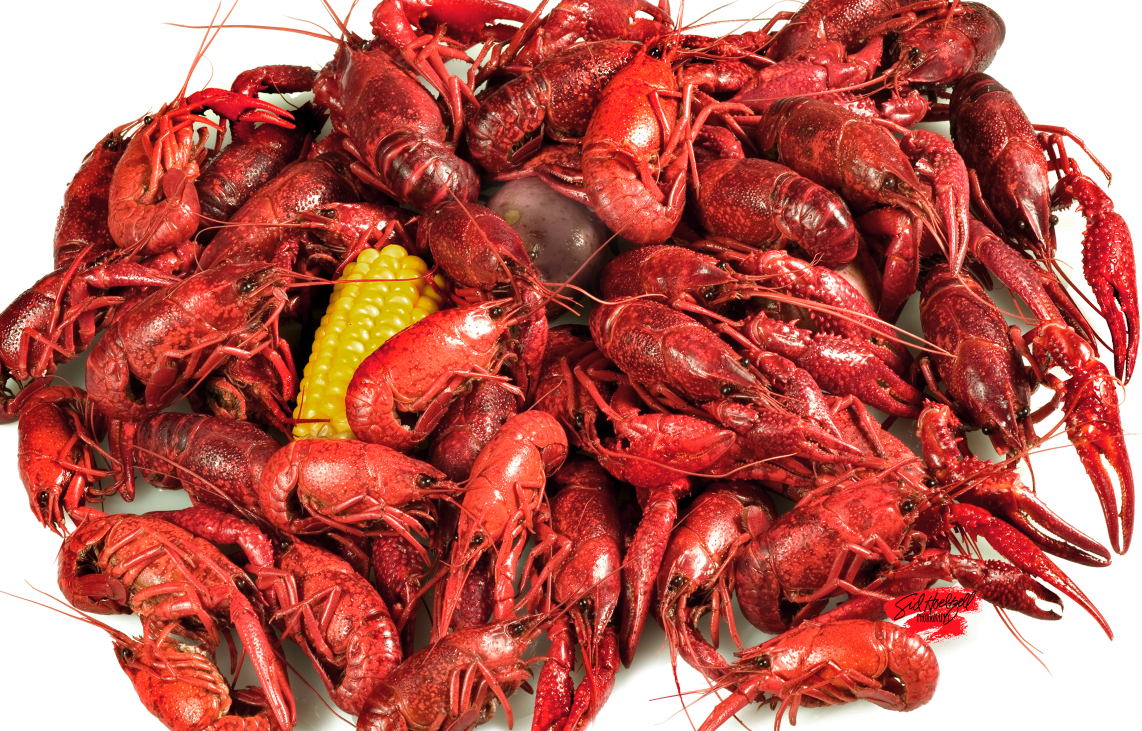                       Sid Hoeltzell's 23rd Annual Crawfish BBQ