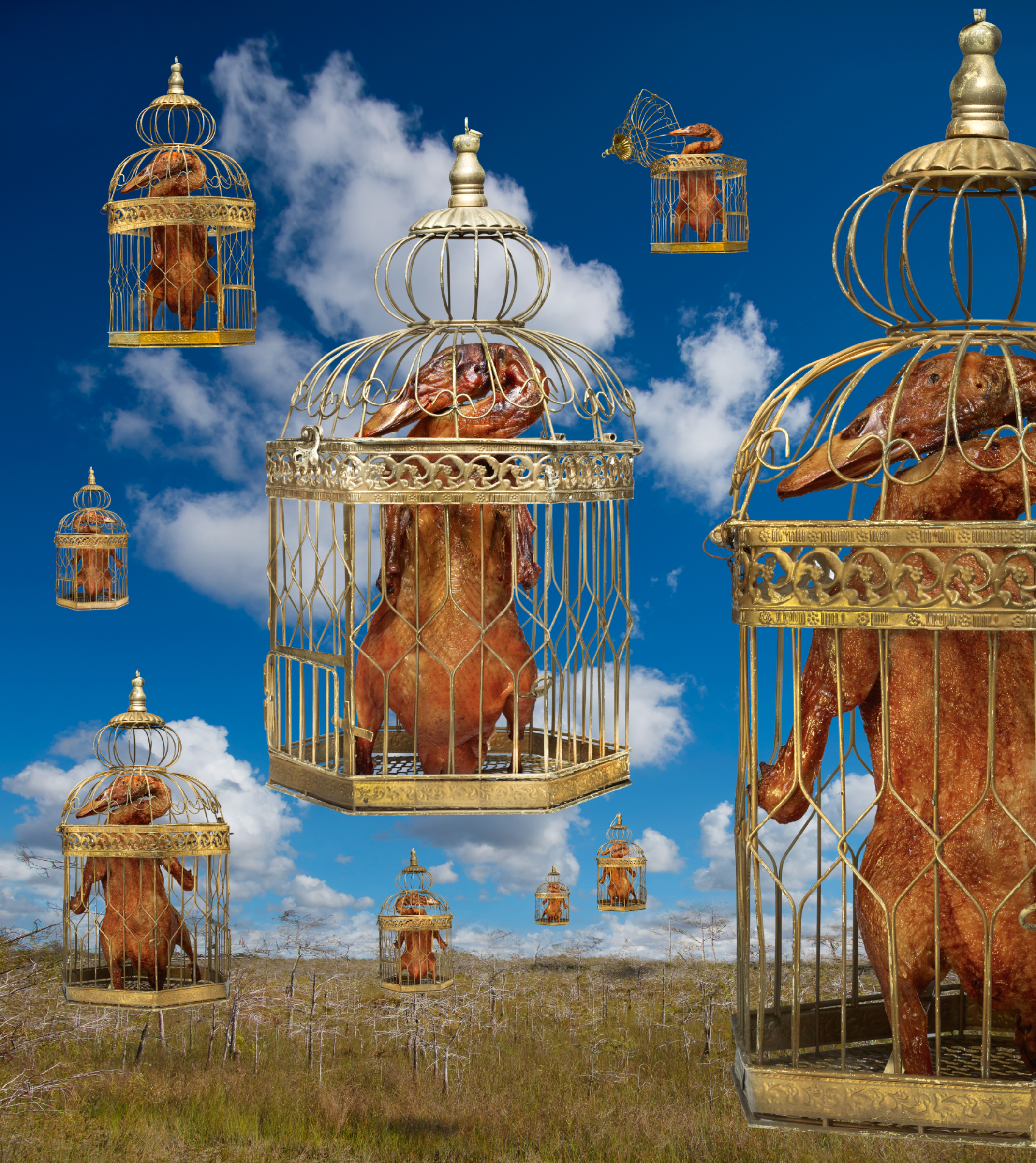 Screen Shot 2021-05-27 at 12.26.50 PM.png