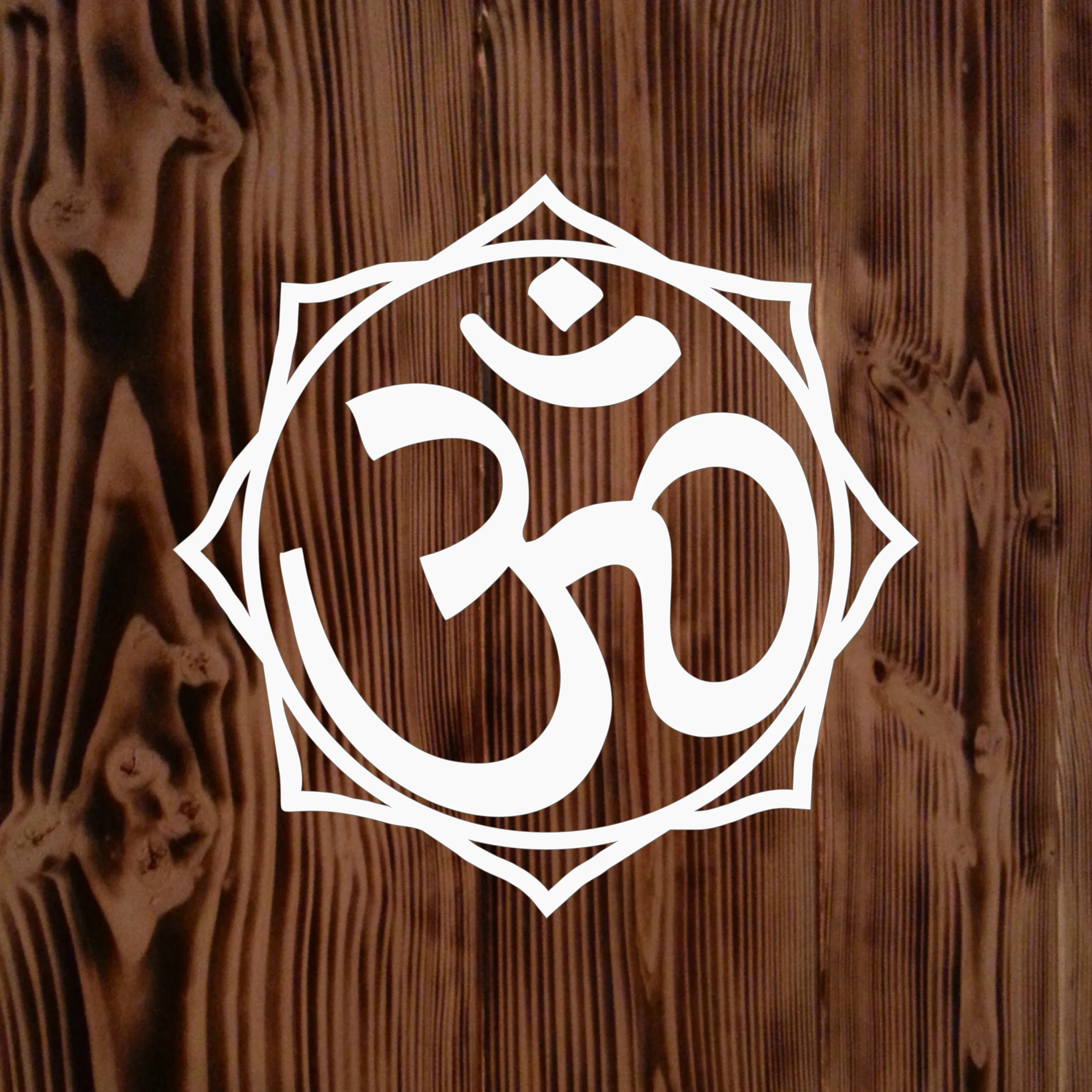 Ohm Decal Sticker