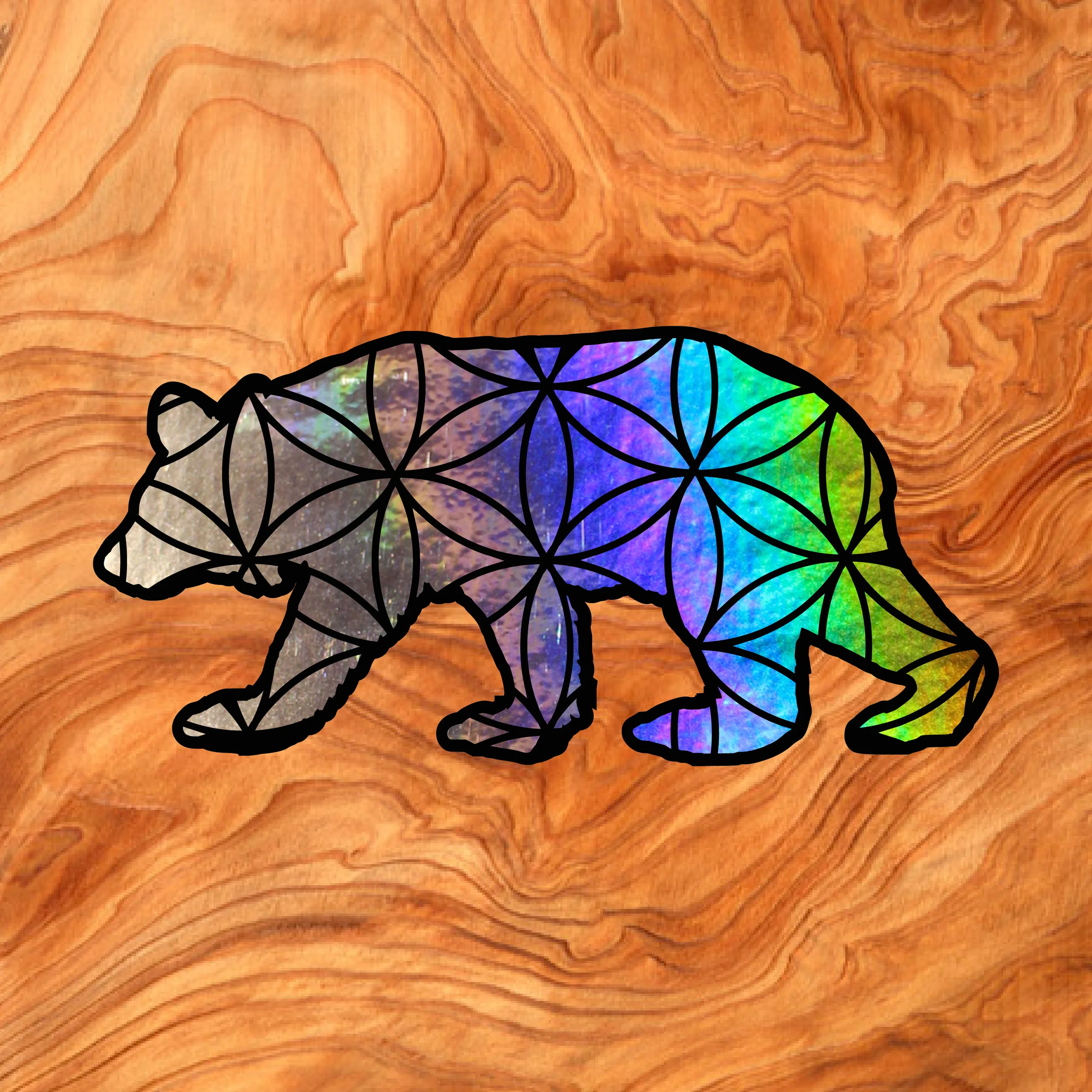 BearHolo2tone3-01.jpg