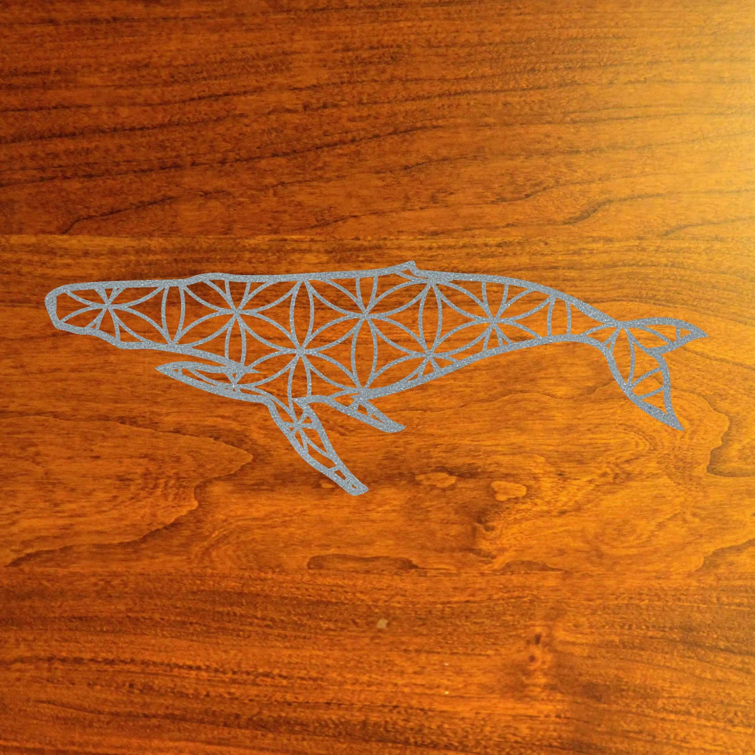 WhaleSilver-01.jpg