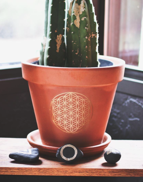 Screen Shot 2017-08-15 at 9.22.31 PM.png