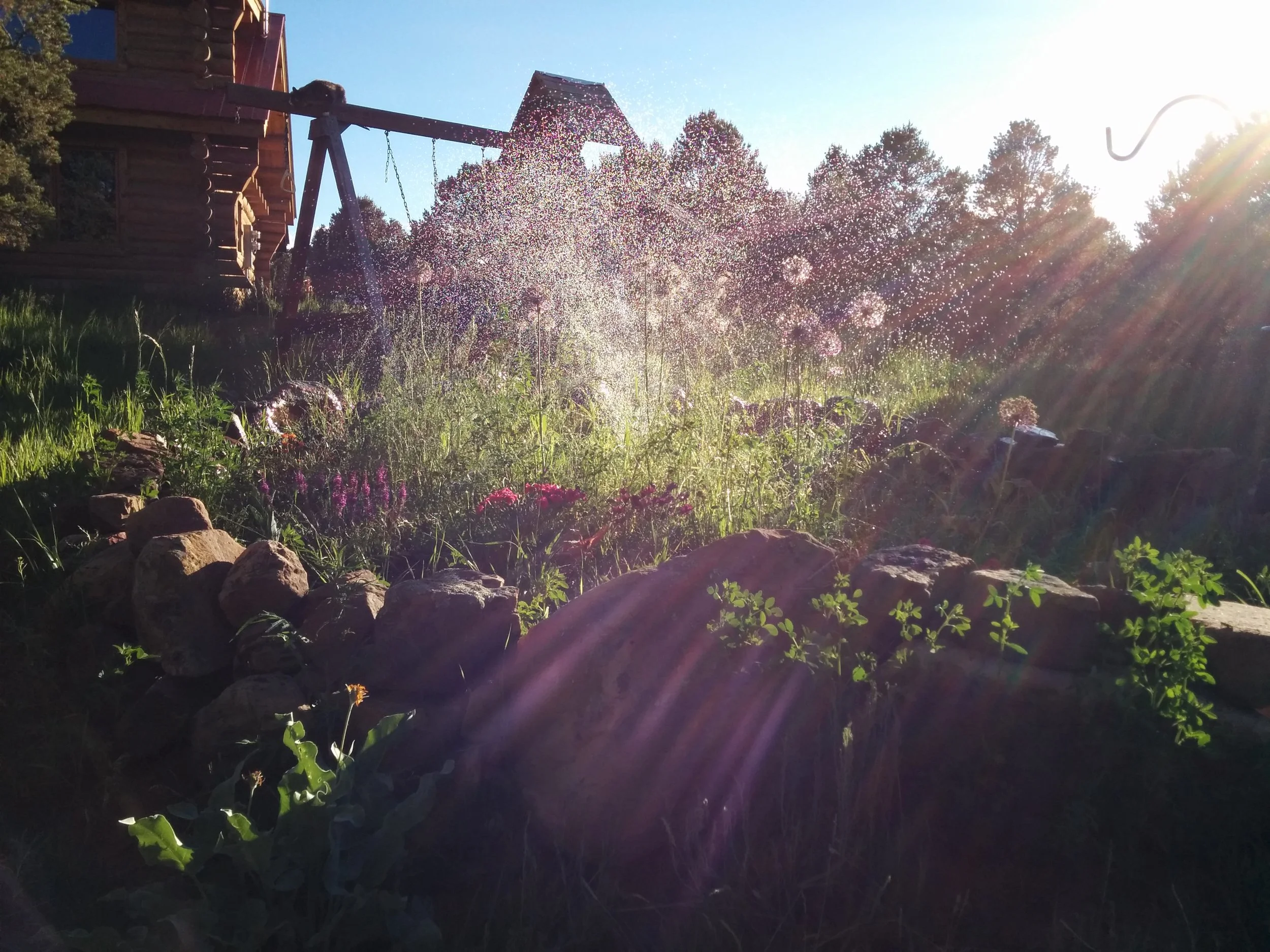 The Discipline of Wandering