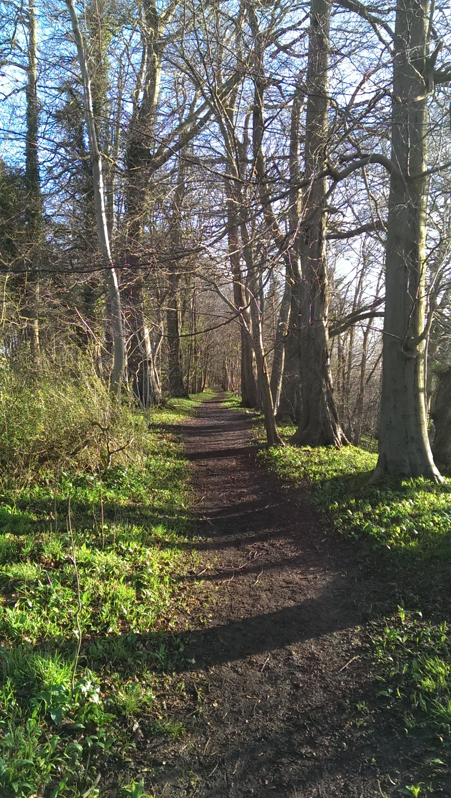 The Discipline of Wandering