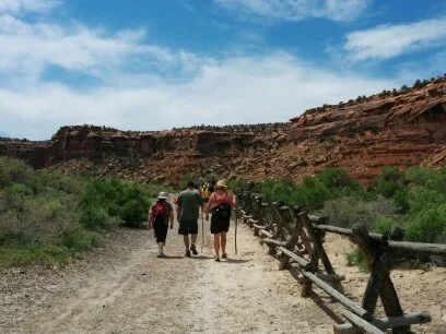 Help Along the Way: sleeping children and sleepy adults 