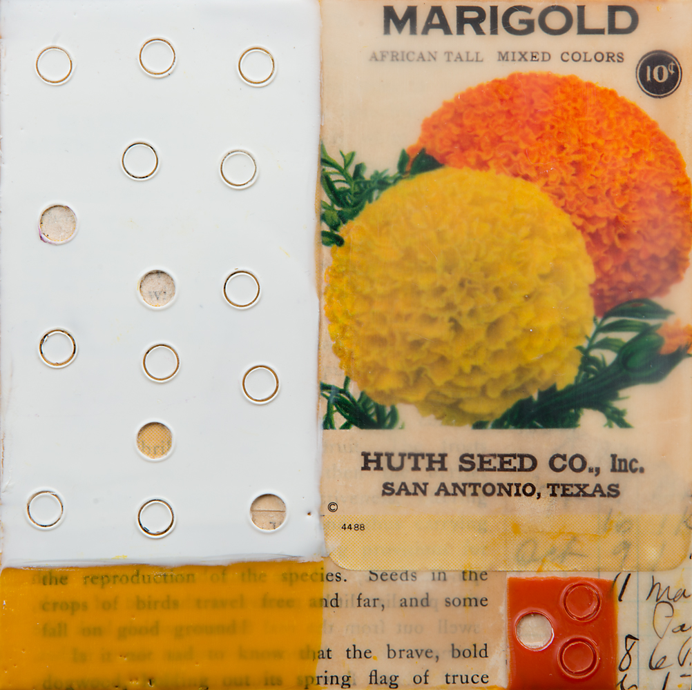 Seed Packet Series #1