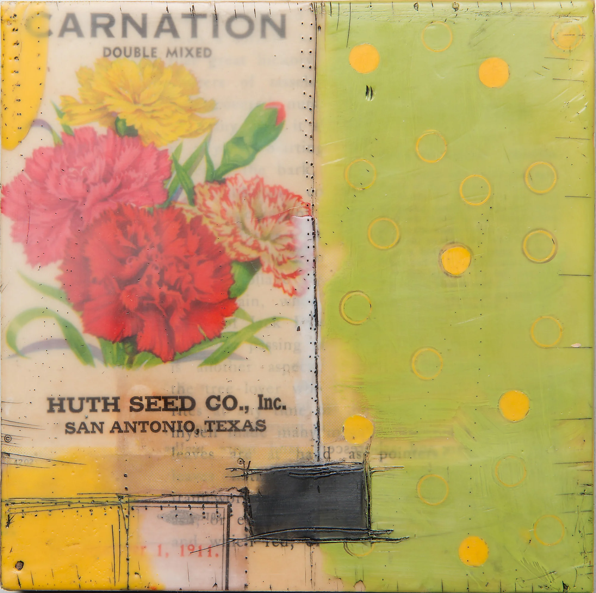 Carnation (Seed Packet Series)