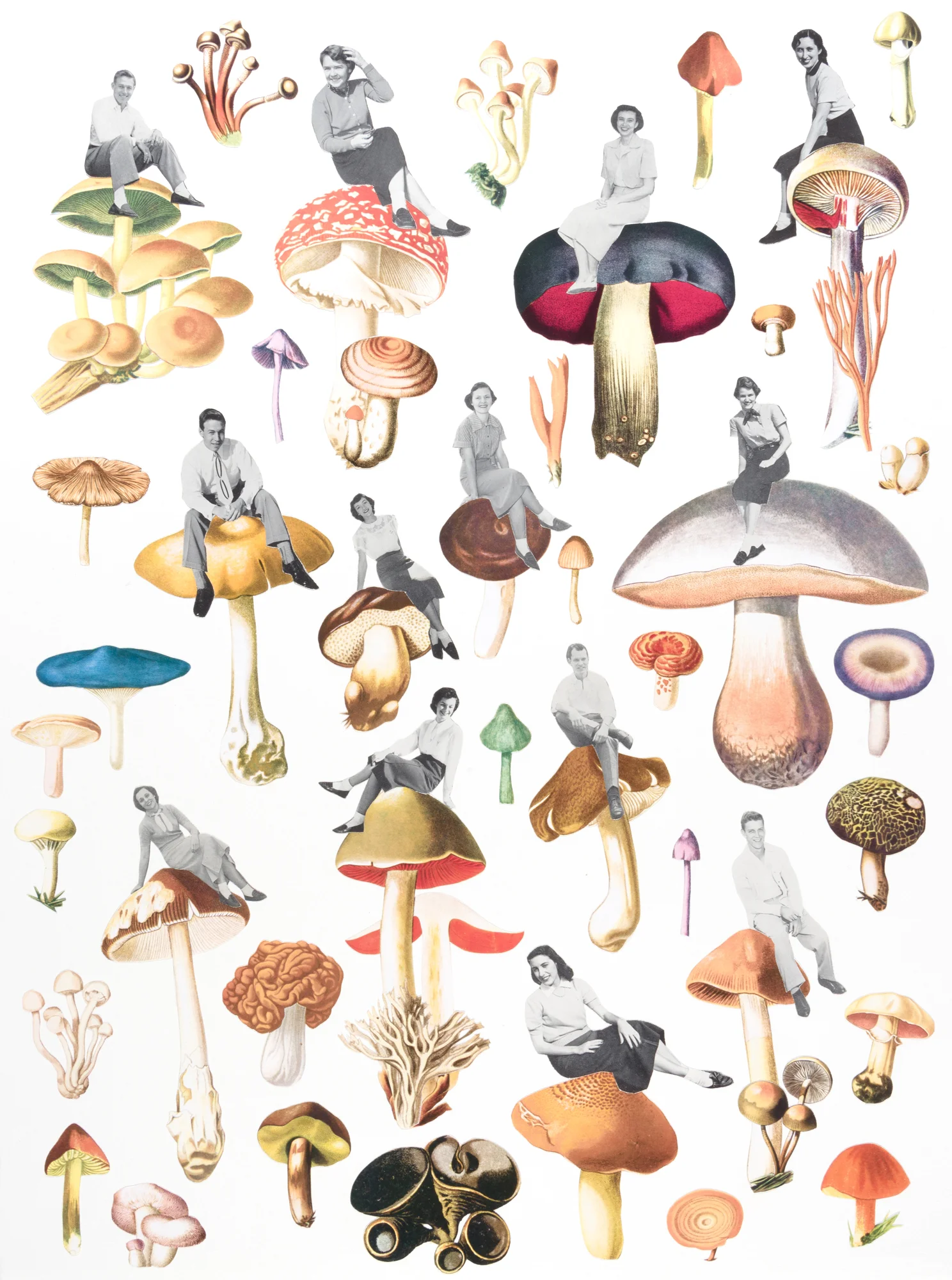 Sitting High On Mushrooms