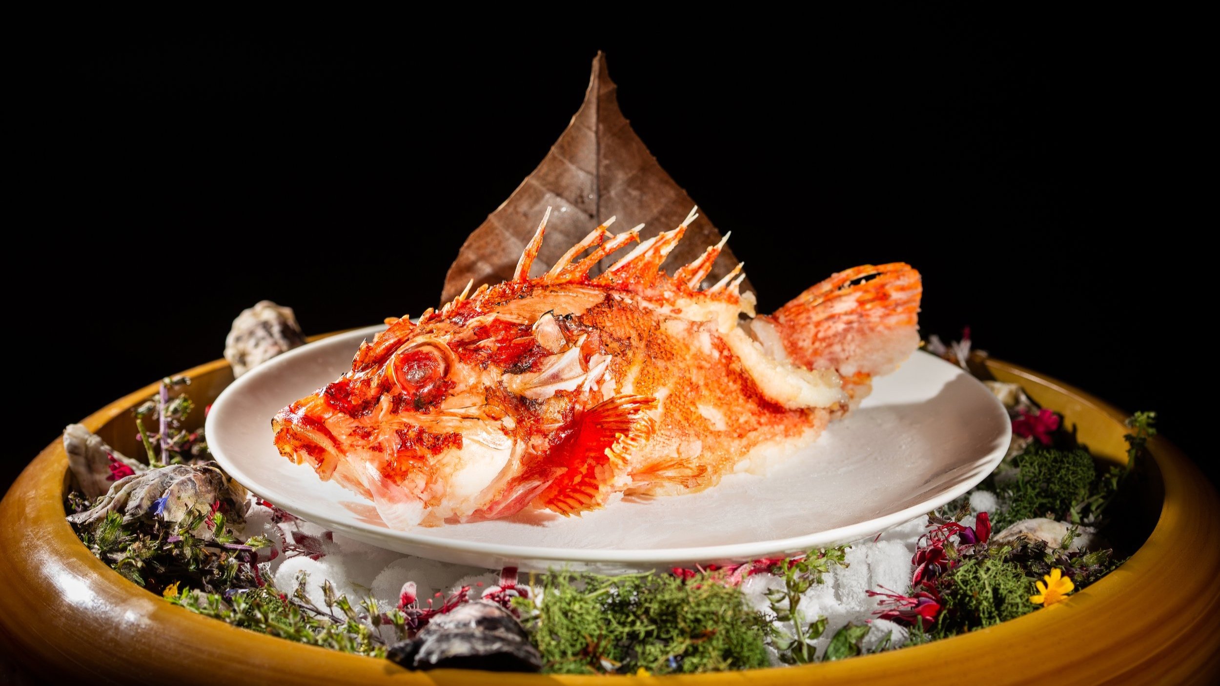 Madame Hattori's Izakaya