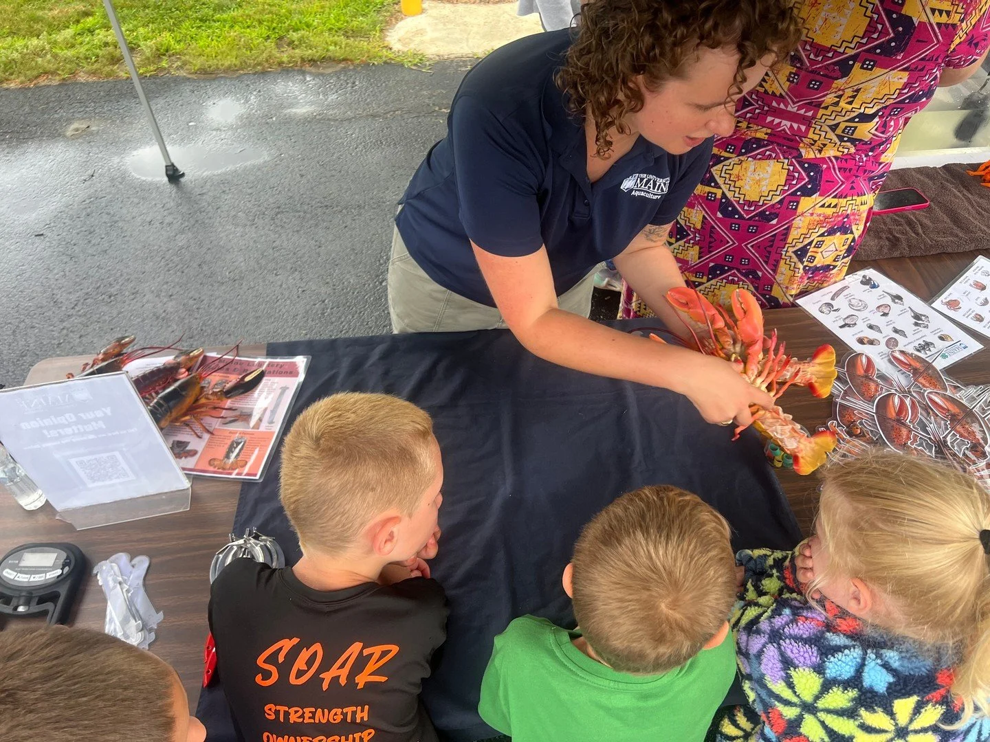 We've been having so much fun at the Margaret Chase Smith Library. We forgot to post pictures from our touch tank event on July 29th! It was a rainy day, but everyone who participated had fun!