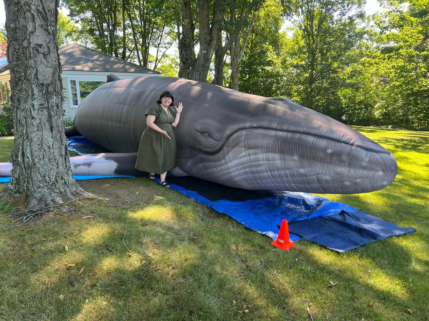 Last week we had an opportunity to meet Chunk the whale as part of our summer children's programming! Kids had a great time walking into the belly of Chunk to learn about the biology of whales. Stay tuned&mdash;A time-lapse video of Chunk coming to l