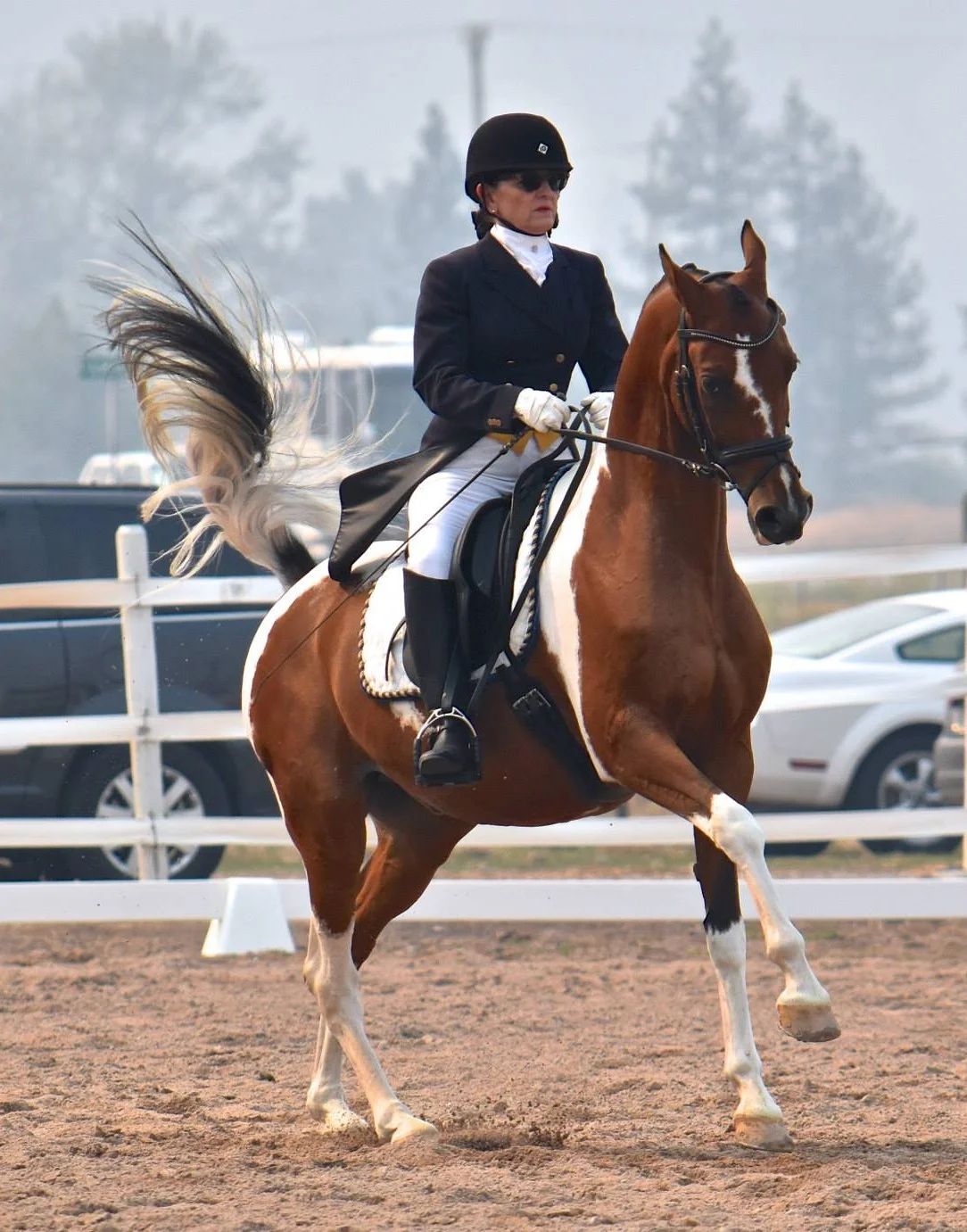 Carol and First Dance of Color - Prix St Georges