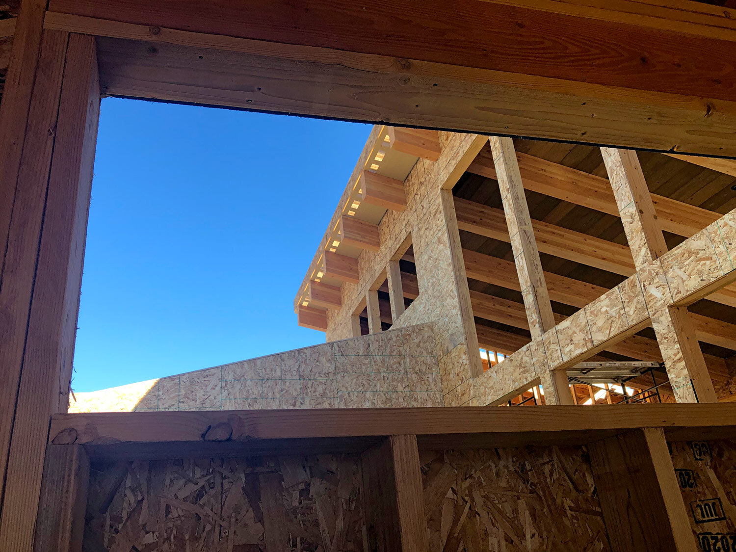 oct2020-windowwall-view-from-below.jpg