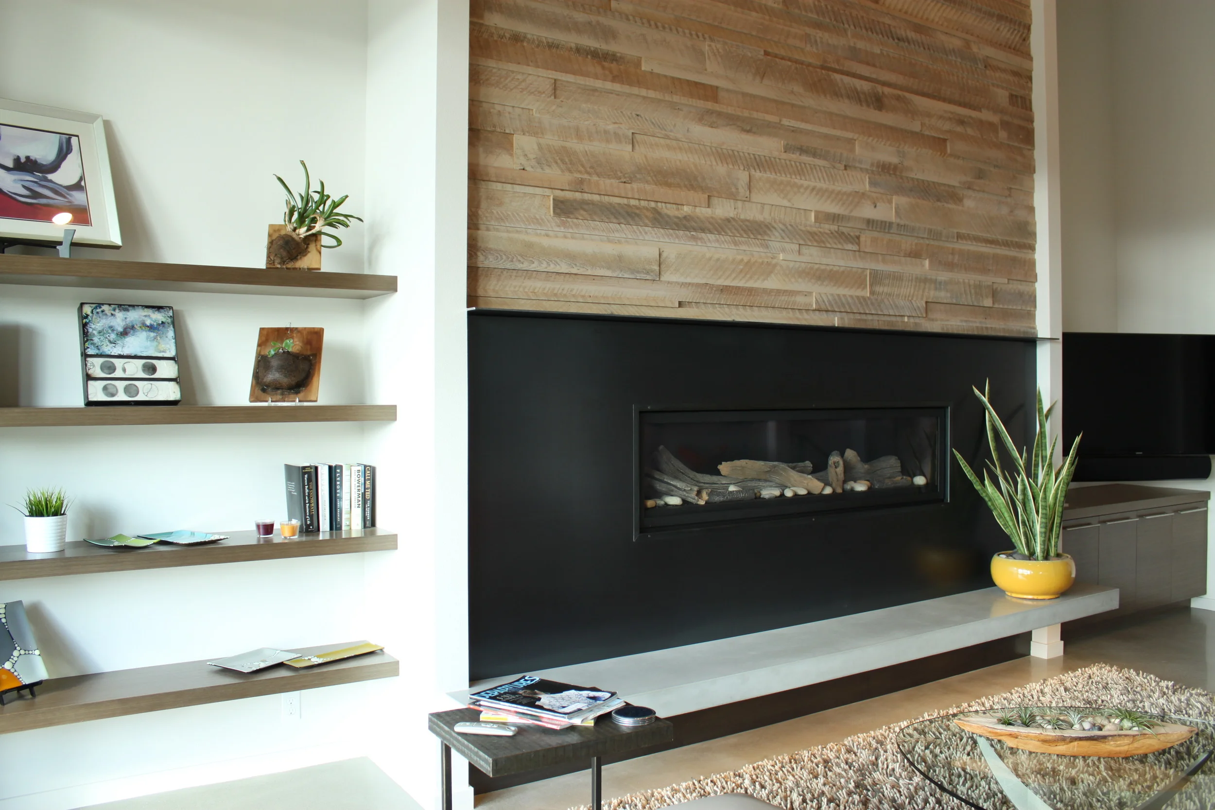 HENRY residence - fireplace facade / photo by Doug Wagner