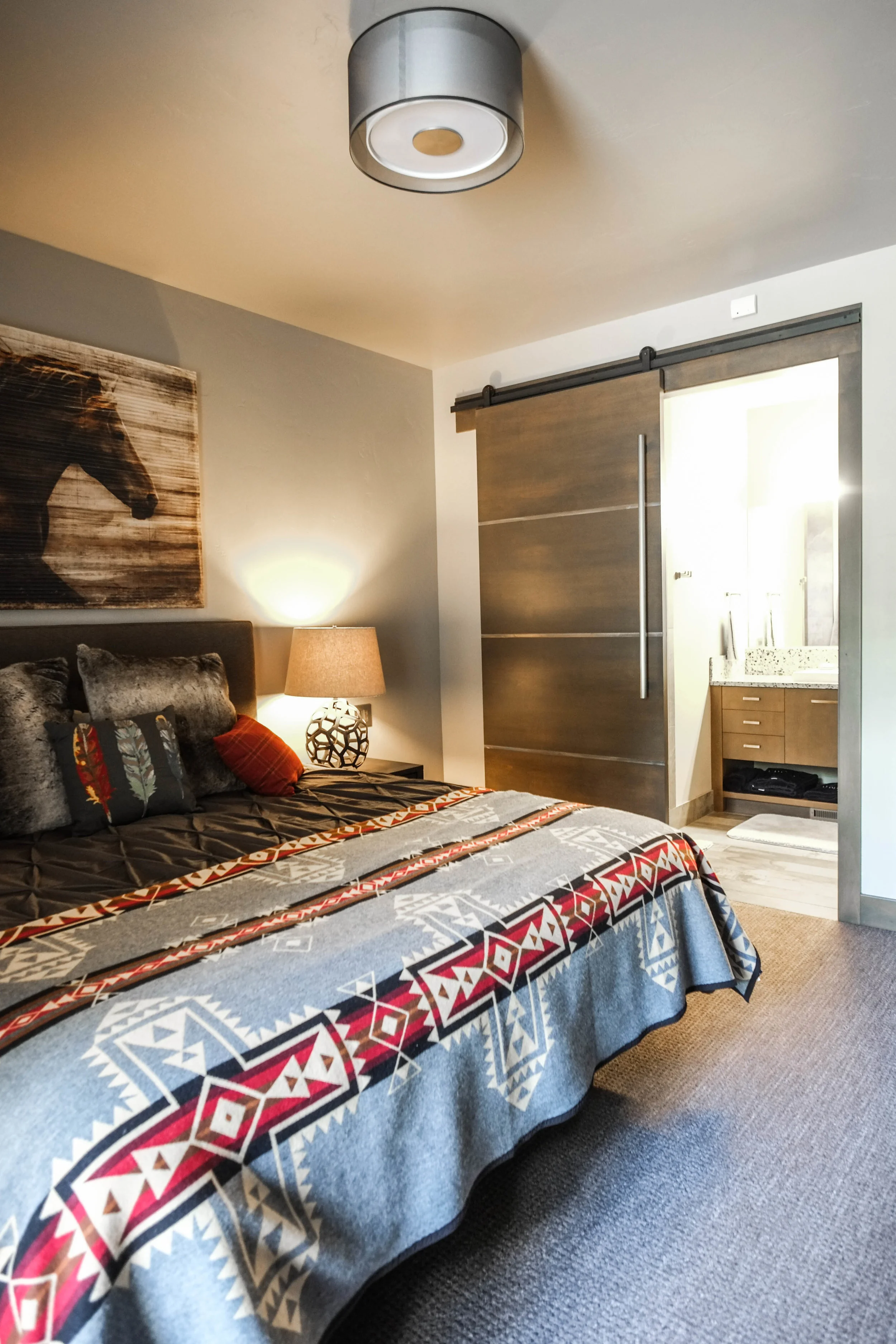 EVANSON residence - barn door