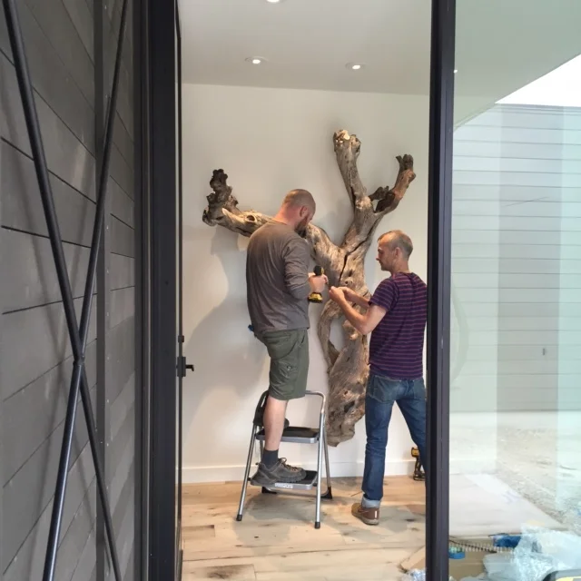 BURFIEND residence - installation of Lilac tree