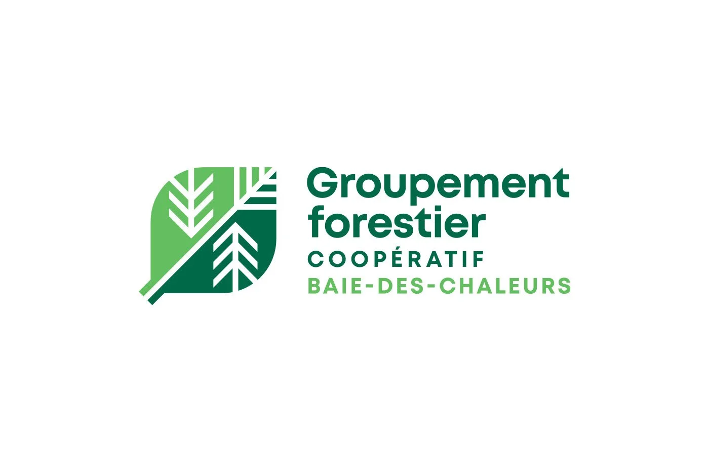 Groupement forestier.jpg