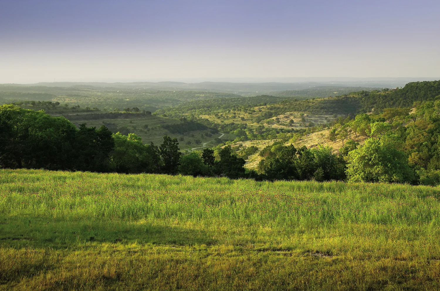 Land-for-sale-liberty-hill.jpg