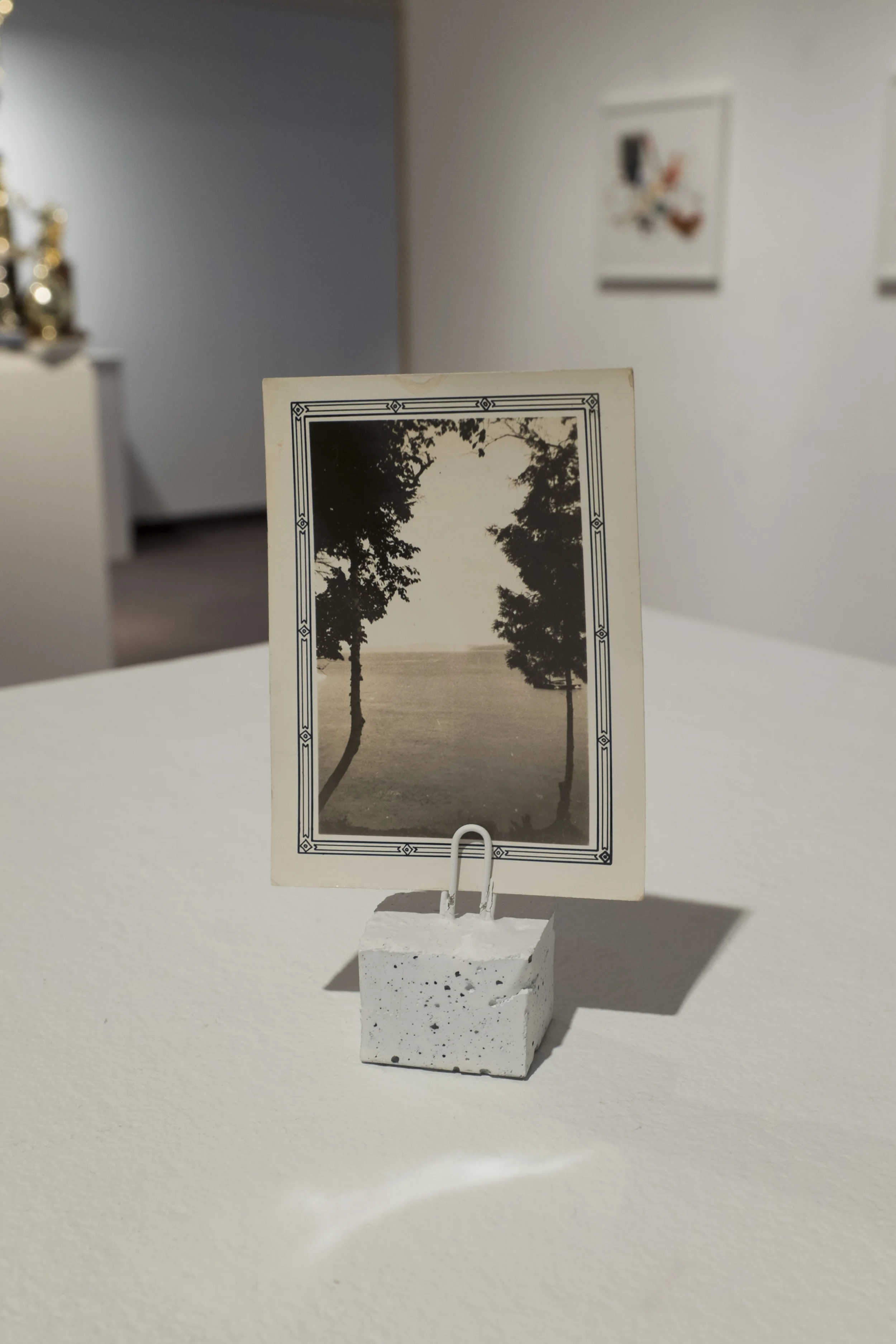 Image-11.jpg