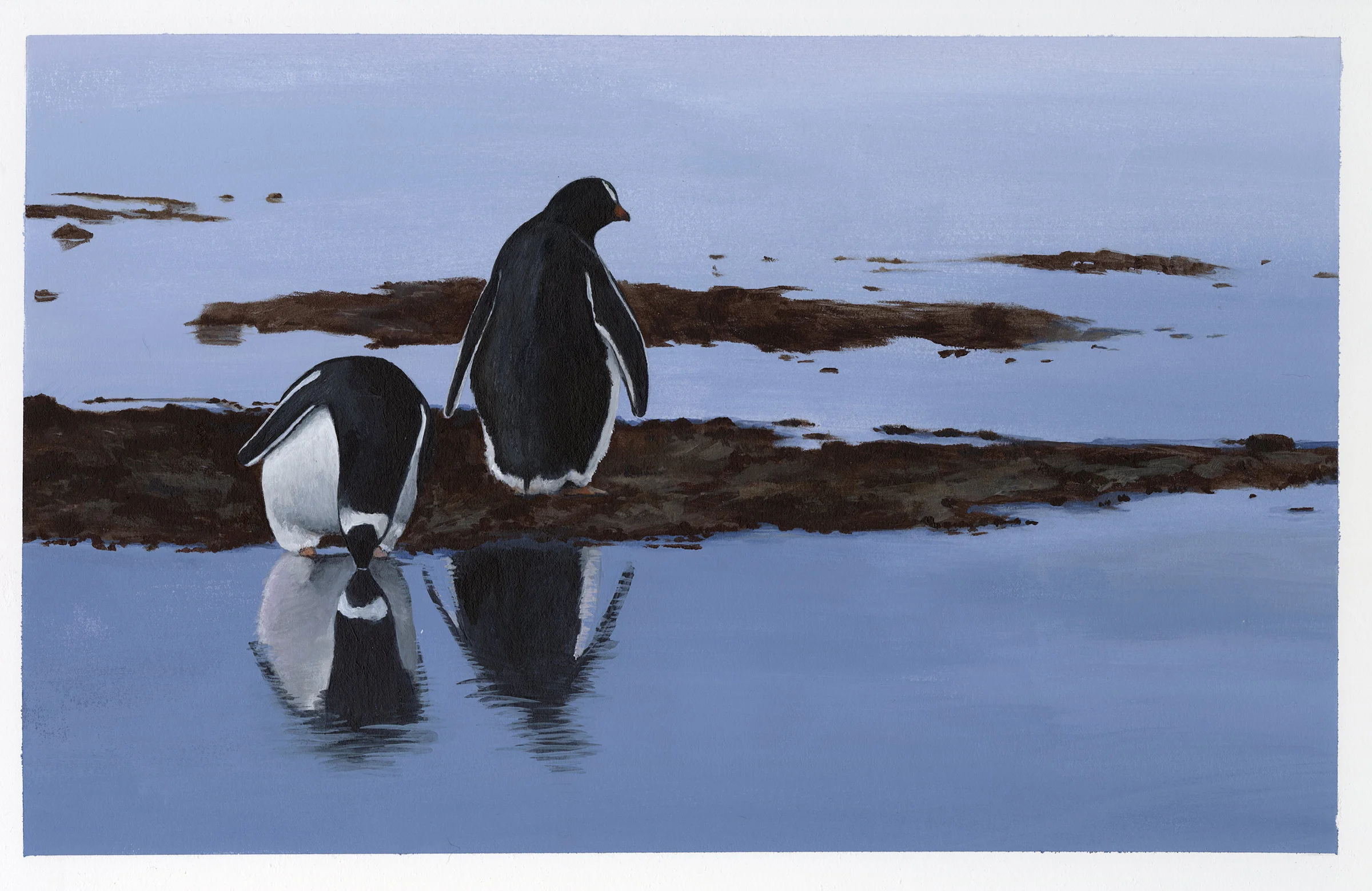 PenguinsGallery.jpg