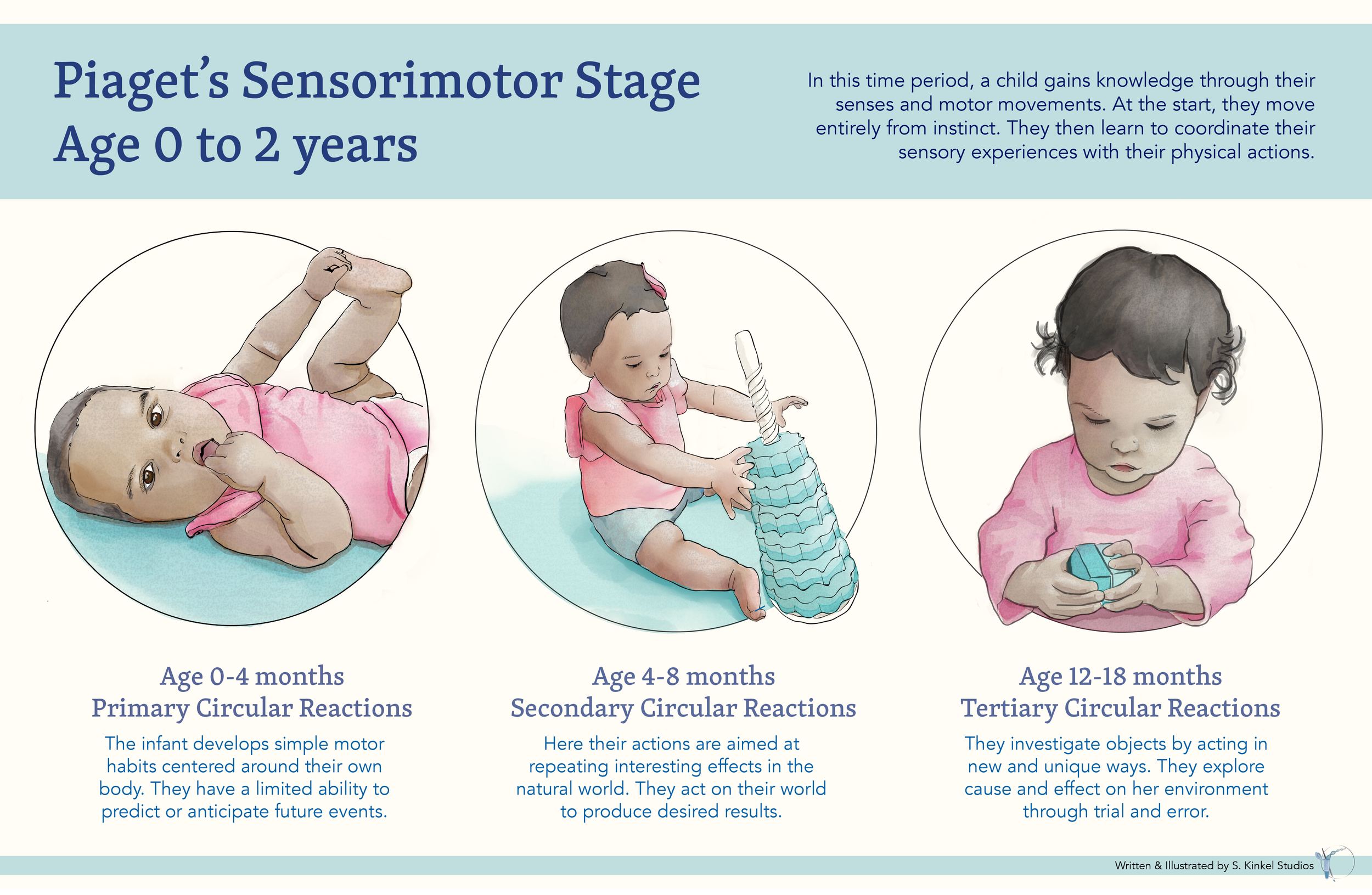 Piaget_Sensorimotor-06.png
