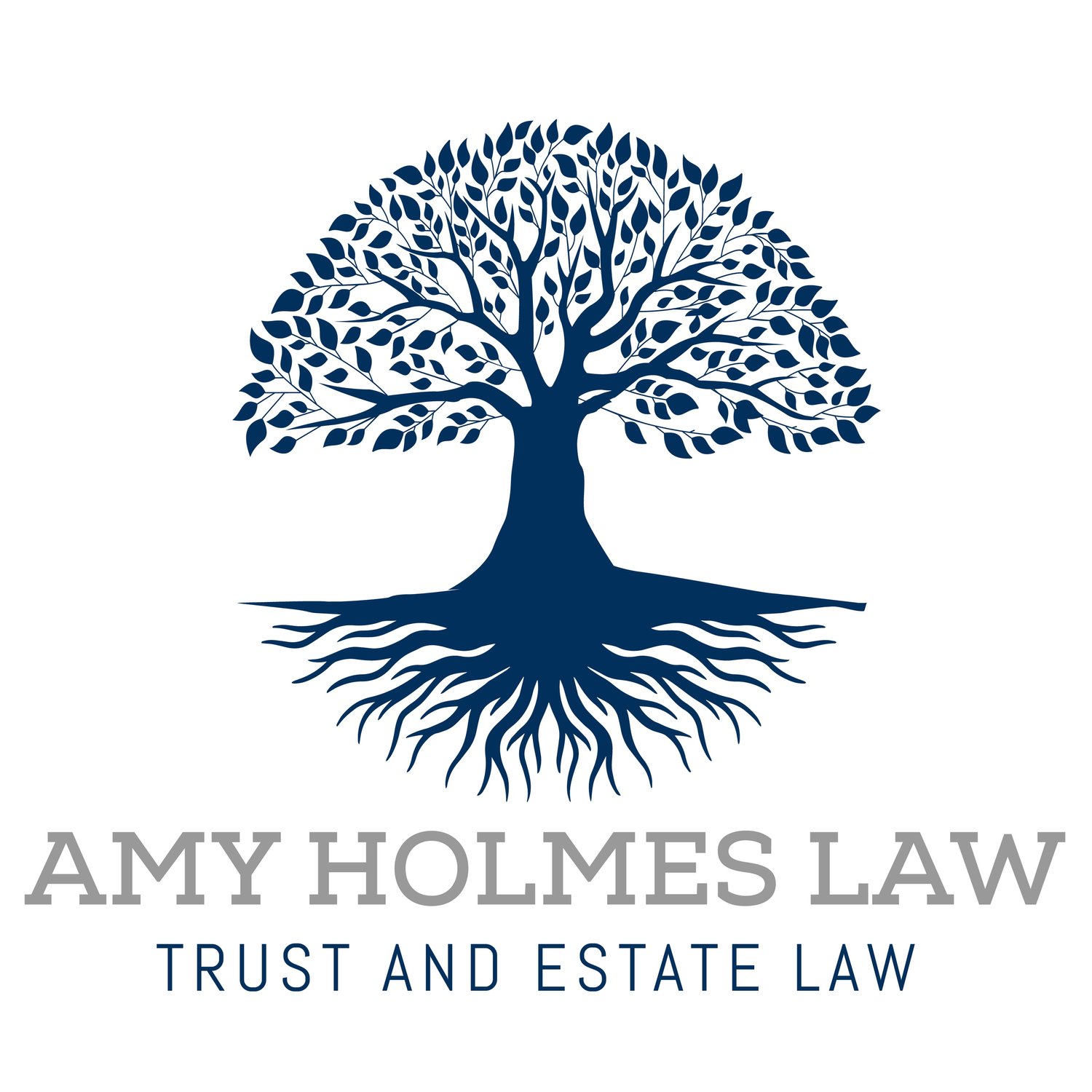 AMY HOLMES LAW