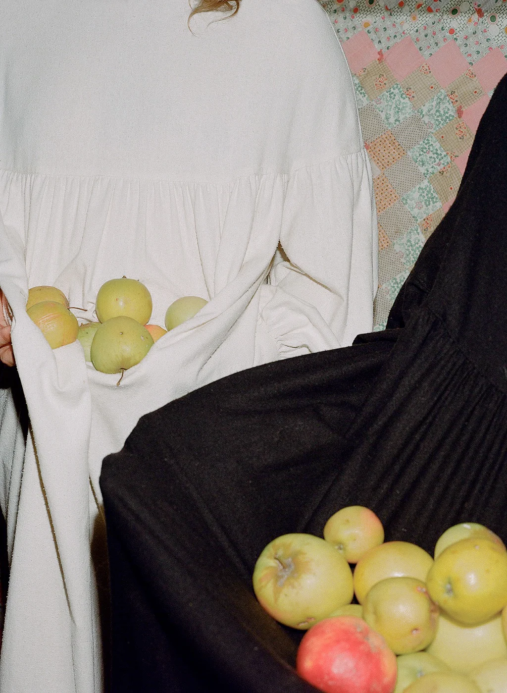 T_C__081.jpg