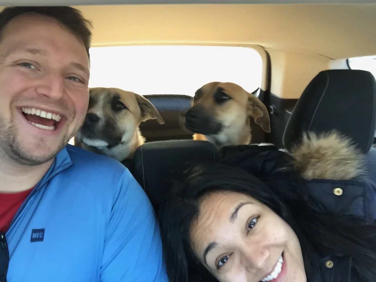 With Tolfino and Yuki, our friends Sam and Josh's beautiful adopted pups enroute to Yosemite!