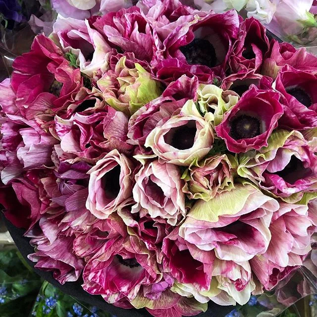 🌷In flower heaven @dutchflowerline - anemones, ranunculi and tulips for days. No room is complete without flowers or plants.🌿 .
.
.
.
.
.
.
.
.
.
#flowers #flowerdistrict #tulip #ranunculi #tulips #tulips #ranunculus #anenome #flowers #stephaniesta