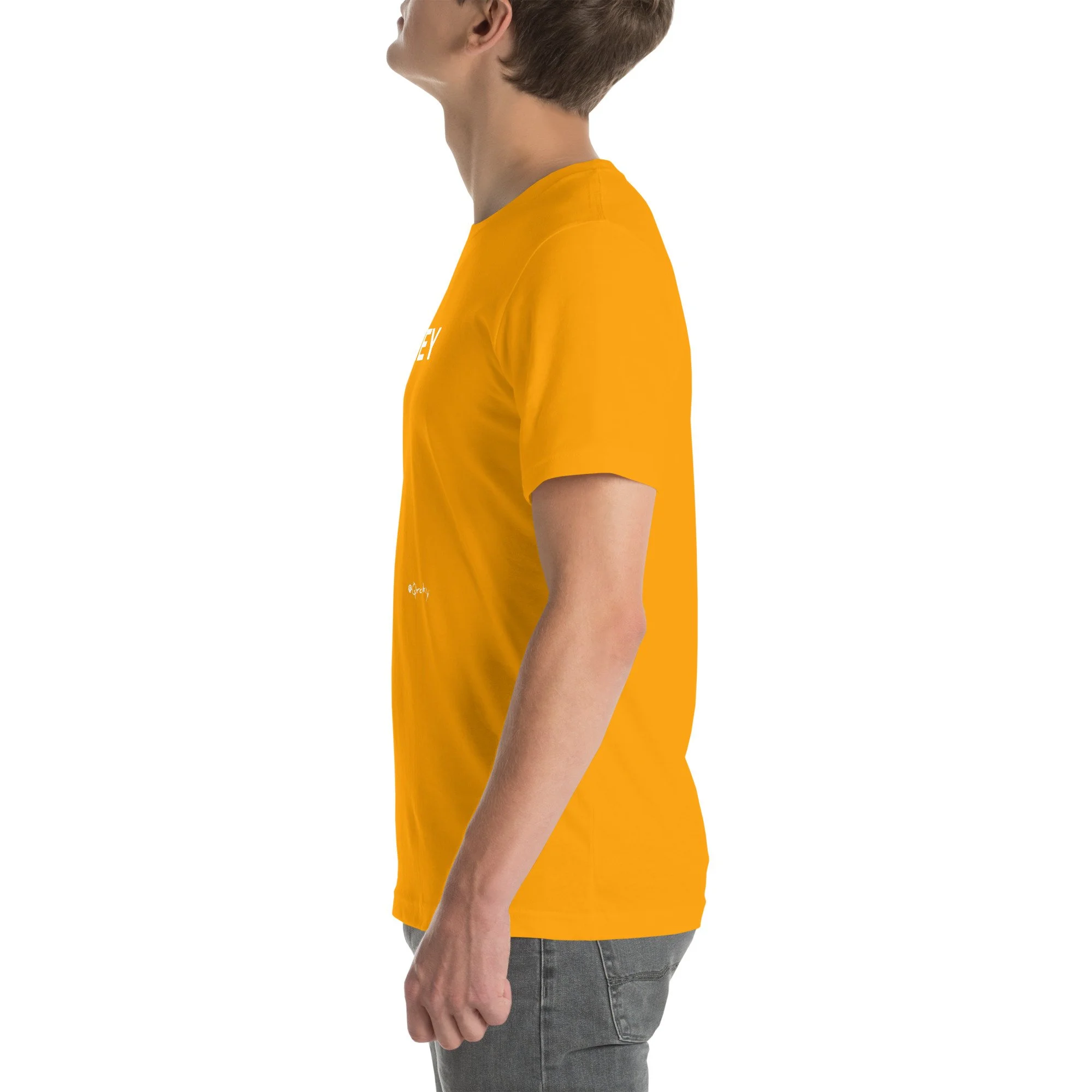 unisex-staple-t-shirt-gold-left-681d13753c9c3.jpg