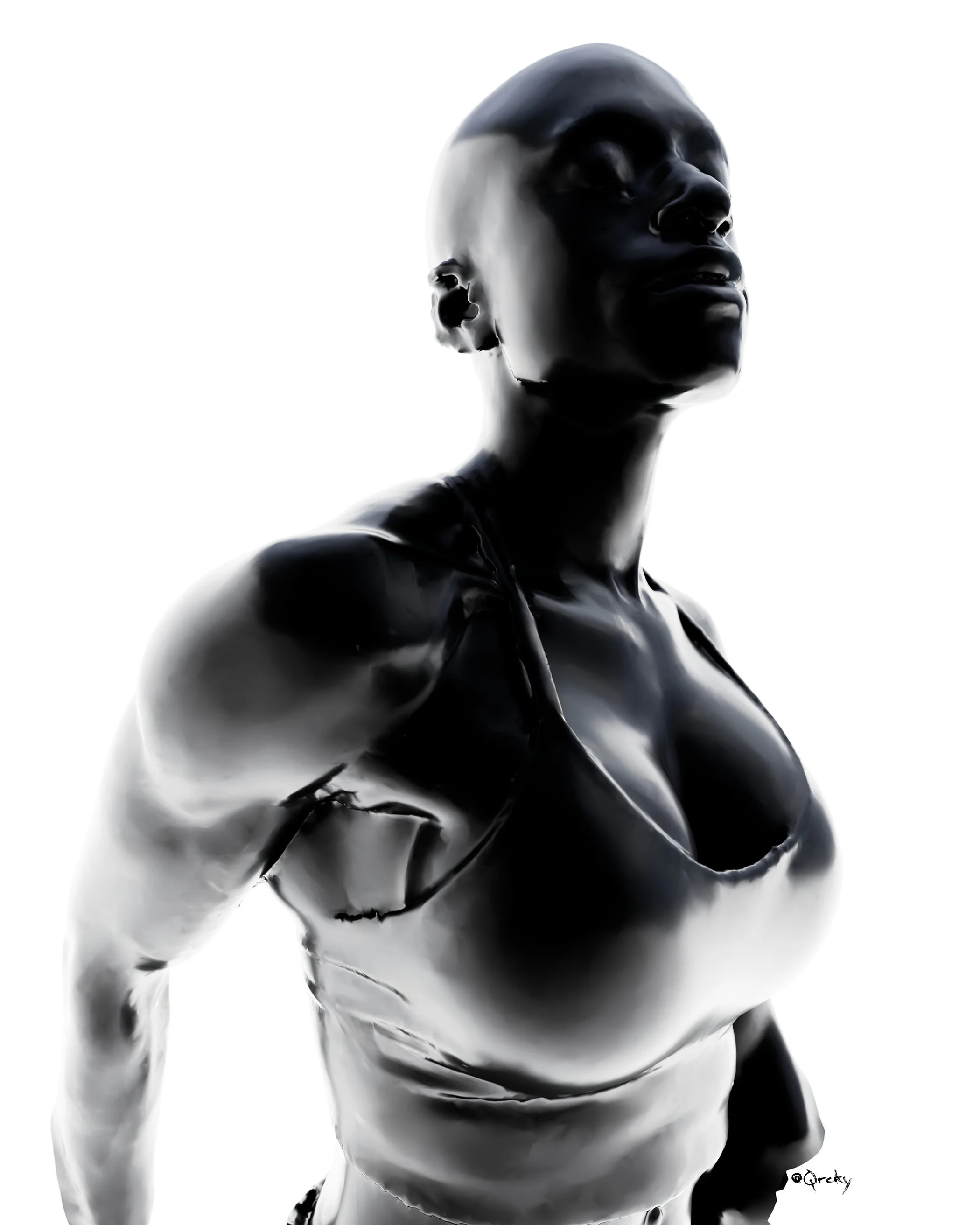 The Sculpture Collection.jpg