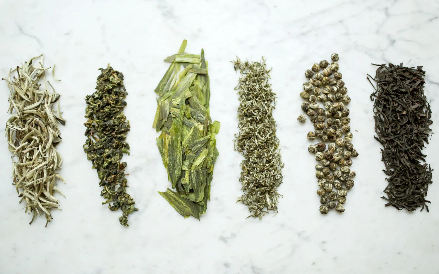 leafy green 2.jpg