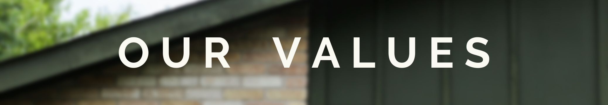 Bath and Shower Essentials Store Header (9).png