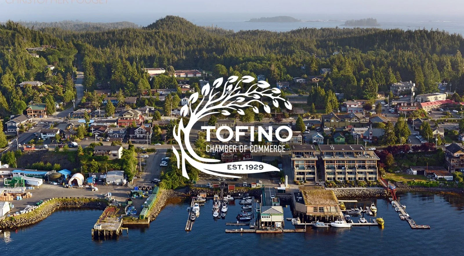 Try-Tofino-bannery.jpg