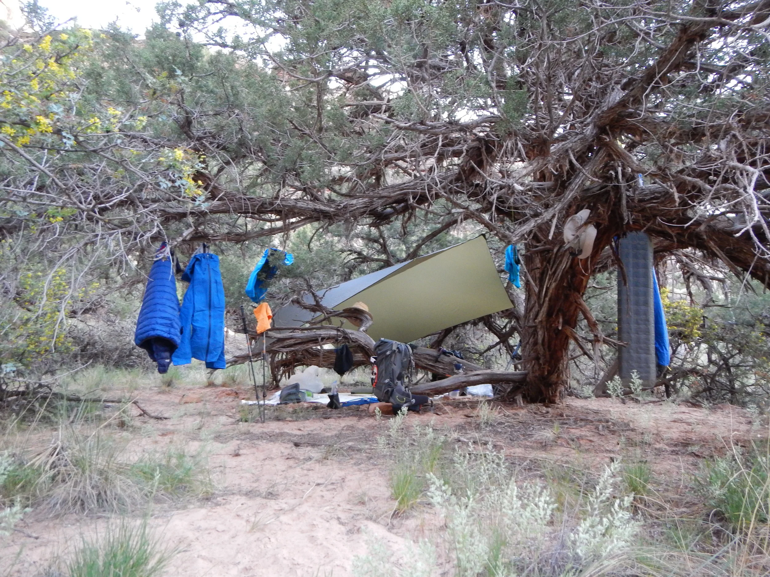 Canyonlands Maze Camp