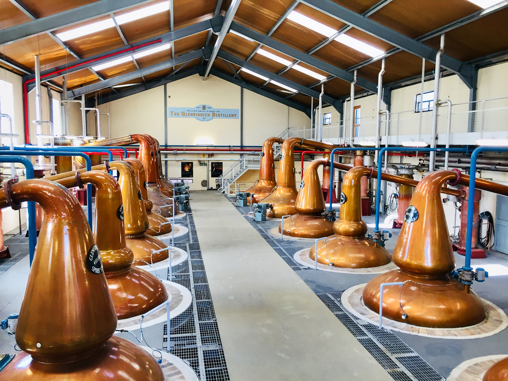 tequila+party+host+expert+specialist+home+tasting+event+service+company.jpg