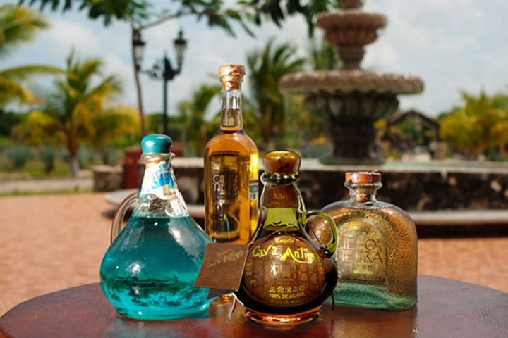 Tequila+Expert+for+Event+Private+Corporate+Home+Tasting+Service+Mezcal.jpg